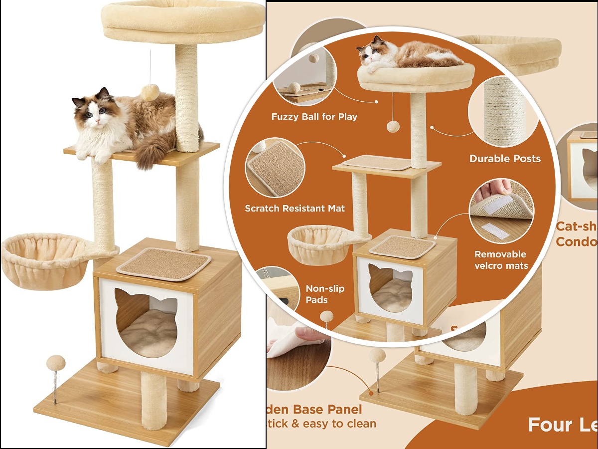 Modern 50 Inches Cat Tree for Bengal and Savannah cats